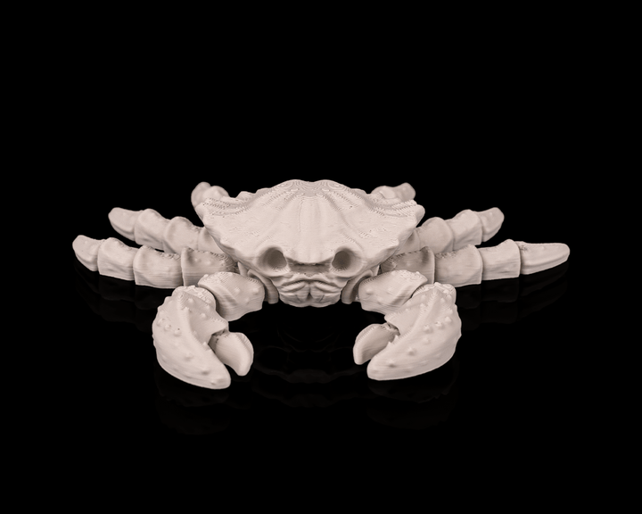 Crab Skeleton