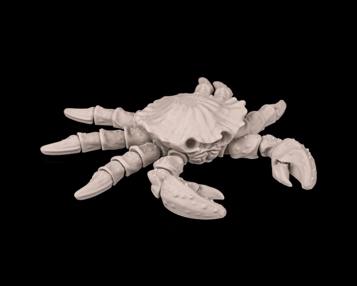Crab Skeleton