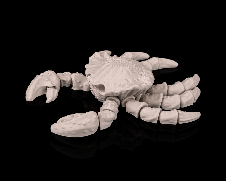 Crab Skeleton