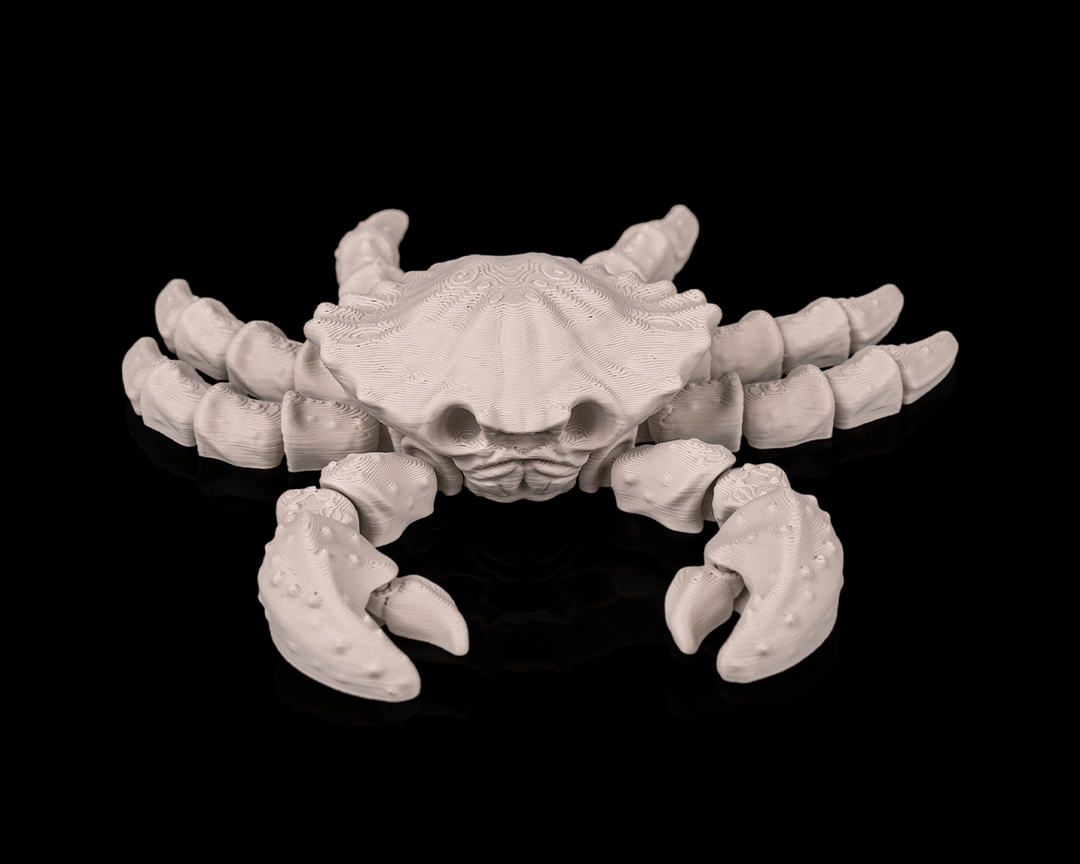 Crab Skeleton