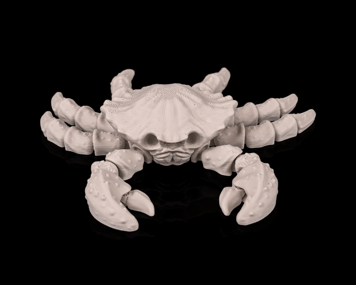 Crab Skeleton