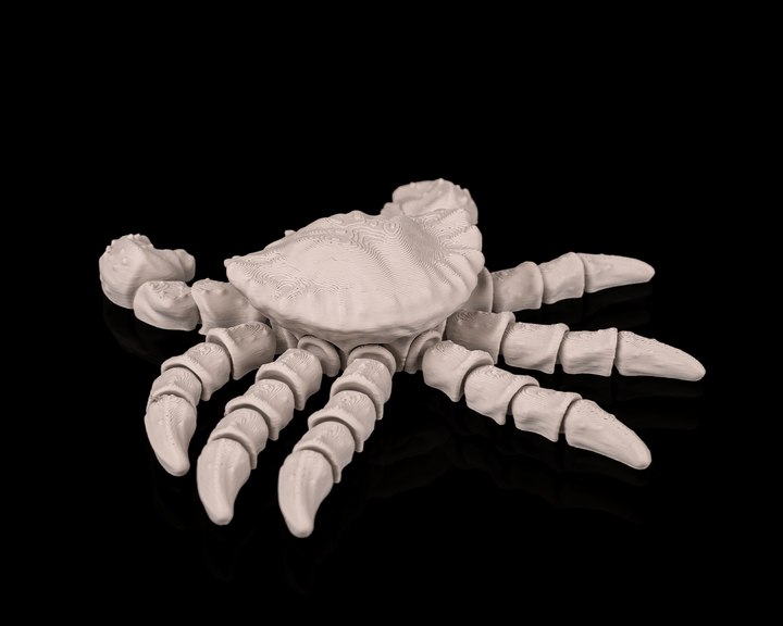 Crab Skeleton
