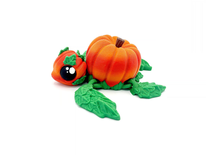 Pumpkin Turtle