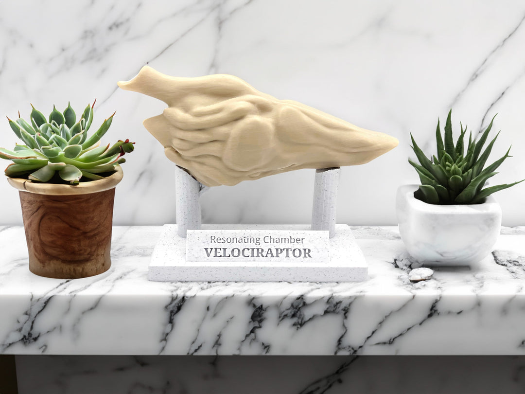 Velociraptor Resonating Chamber