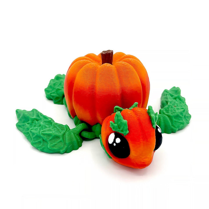 Pumpkin Turtle