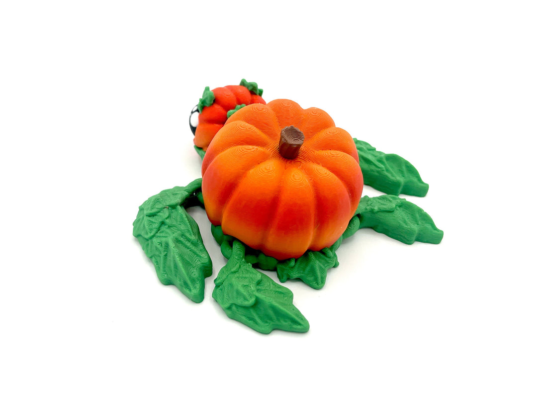 Pumpkin Turtle