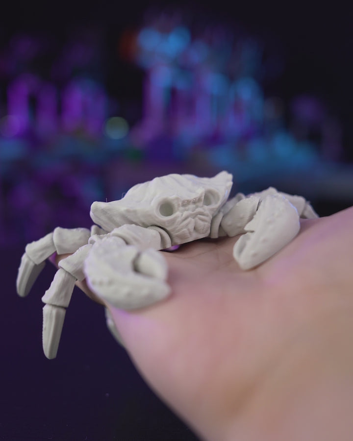 Crab Skeleton